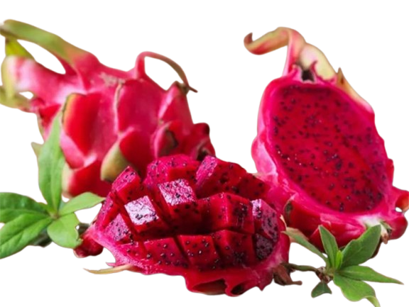 fresh sata dragon greenx fruit in tamilnadu