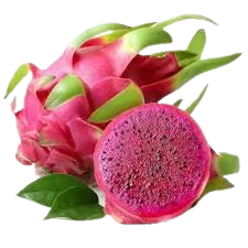 taiwan king red-sata dragon greenx