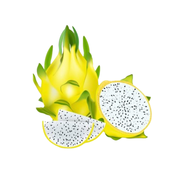 Yellow dragon fruit - sata dragon greenx